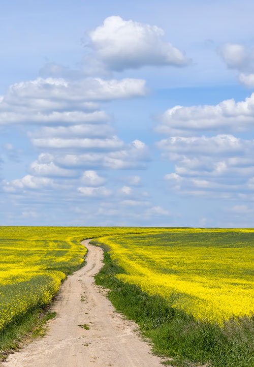 smoke-quitters-journey2